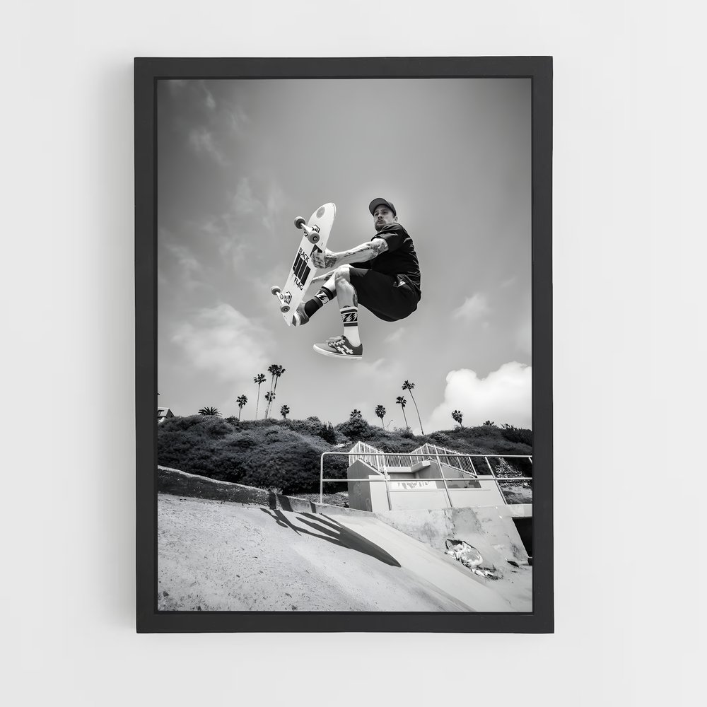 Poster Mike de vallely – affiche Skateboard (vue 2)